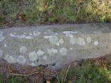 image of grave number 946787